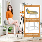 24 Inch Counter Height Bar Stools Set of 2 with Low Back