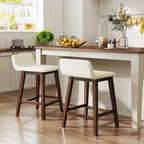 24 Inch Counter Height Bar Stools Set of 2 with Low Back